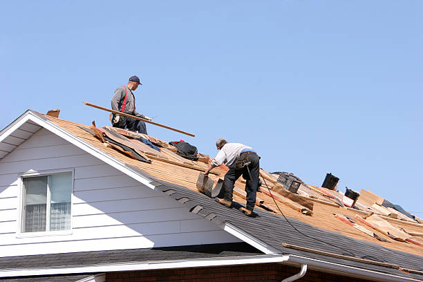 Best Roof Leak Repair  in Kenedy, TX