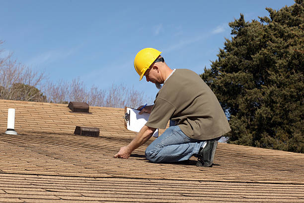 Best Asphalt Shingle Roofing  in Kenedy, TX